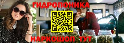 jwh Новозыбков