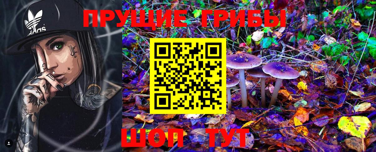 Тавда  Галлюциногенные грибы Cubensis  Вход с VPN 